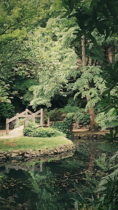 Peut-on se passer des services d'un paysagiste aujourd'hui ?