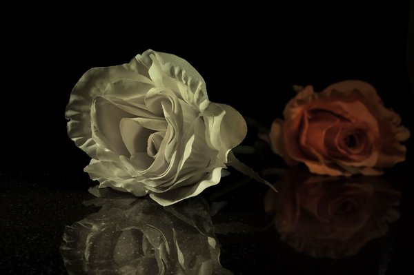 Les plantes artificielles en décoration intérieure : une option astucieuse pour optimiser votre espace de vie