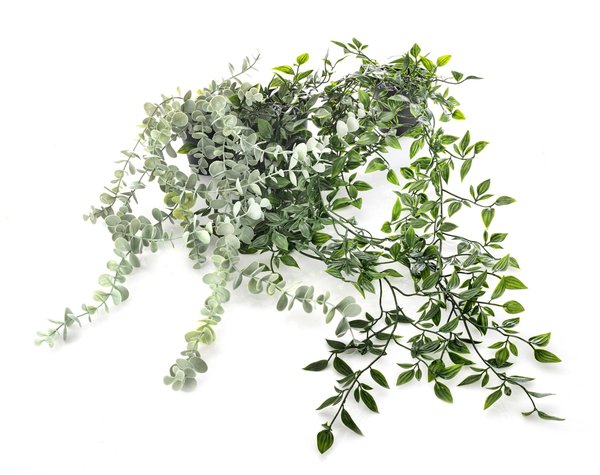 Le faux lierre pour le jardin : conseils d'achat à retenir